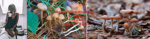 mdma Волоколамск