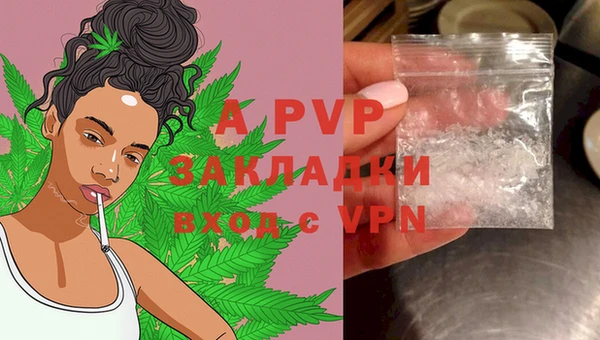 mdpv Володарск